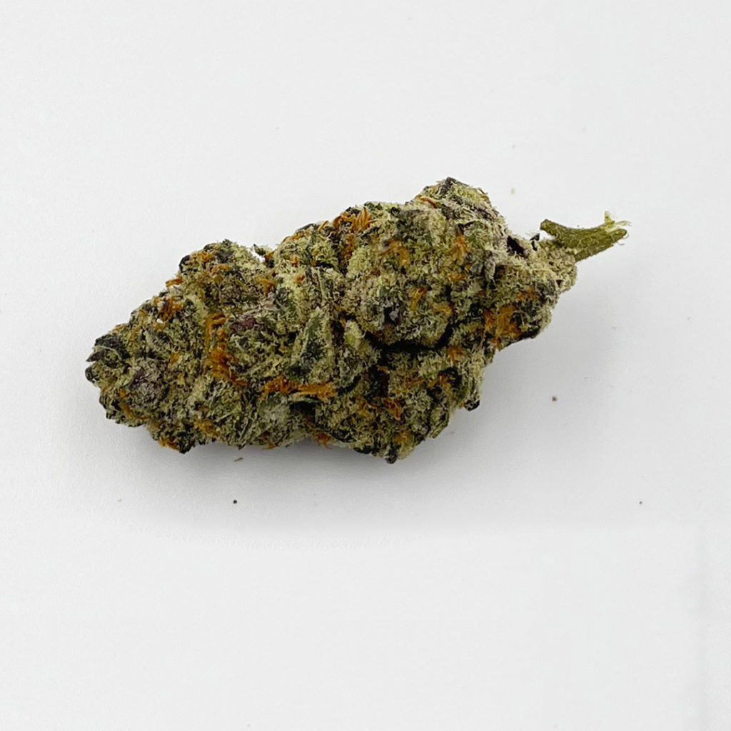 Hindu Kush